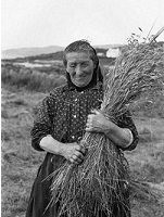 Mrs Janet MacIntyre carrying a sheaf of oats on Eriskay, 1934