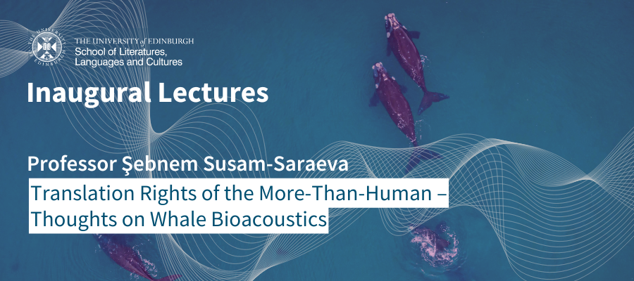 a birds-eye photograph of whales in the ocean. Superimposed over it is a graphic of a swirling lined wave, and the lecture title and speaker name