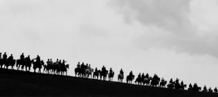 Horses on skyline