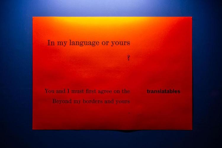Photo of a panel from the exhibition the nature of difference
