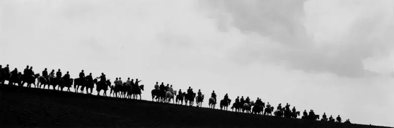 Horses on skyline