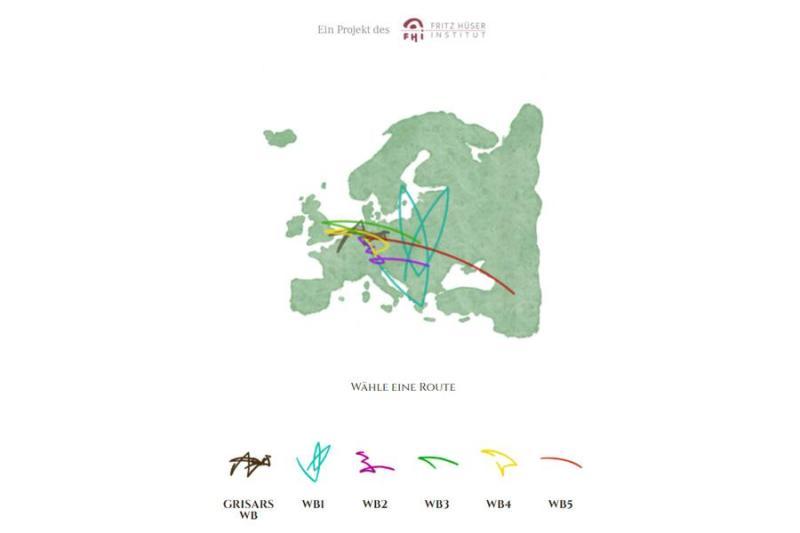 A map of Europe with the wandbuch pathways