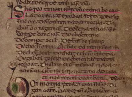 Manuscript excerpt