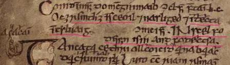 Manuscript excerpt