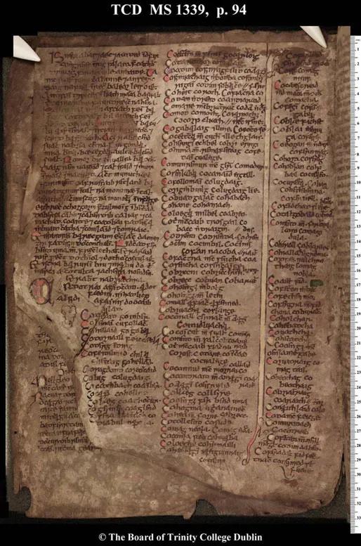 Manuscript excerpt