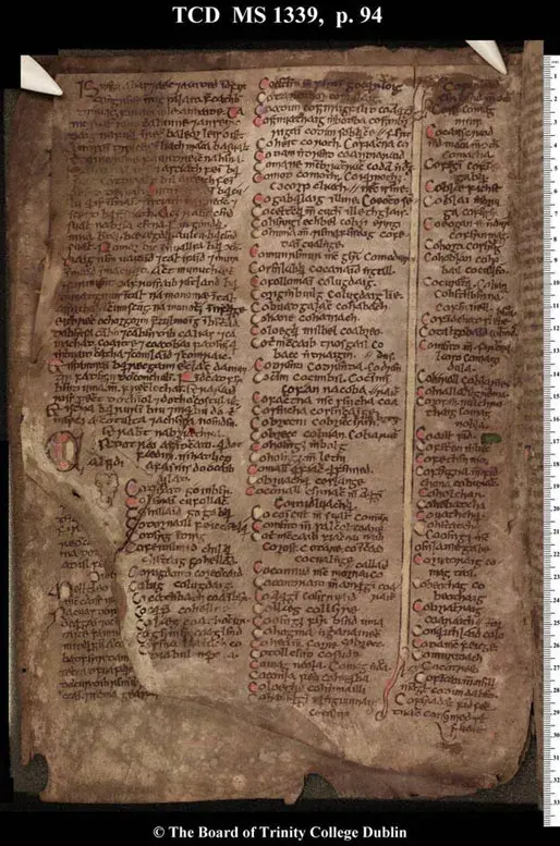 Manuscript excerpt