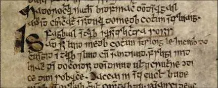 Manuscript excerpt