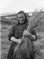 Mrs Janet MacIntyre carrying a sheaf of oats on Eriskay, 1934