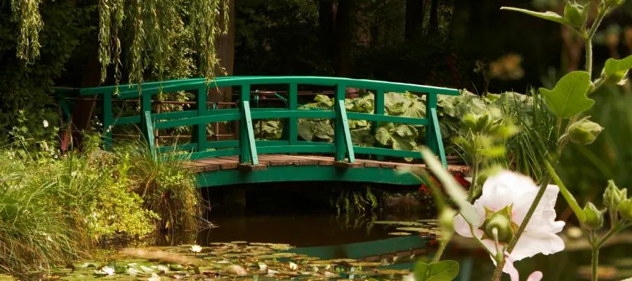 Monet's Waterlilies