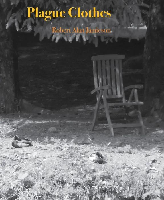 The front cover of a book called Plague Clothes showing an empty chair in a leafy garden