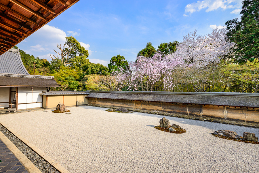 The Ryoan-ji Temple zen rock garden in Kyoto, Japan, in spring